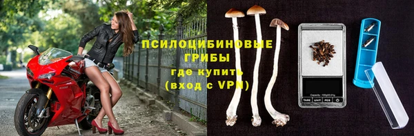 PSILOCYBIN Бугульма